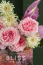 2W0A7583_2.jpg.webp