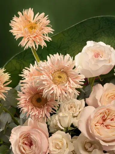 Bliss-1922.webp