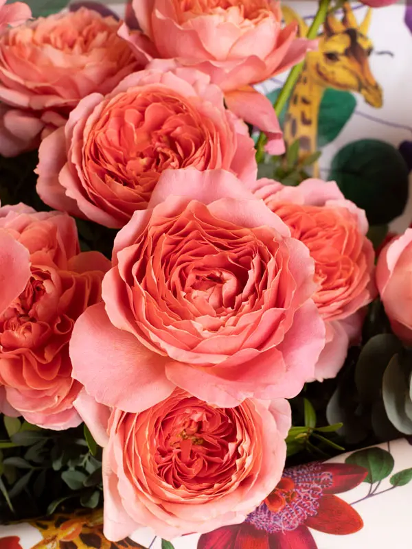 PINK GRAPEFRUIT - PINK