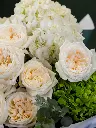 01_06.webp
