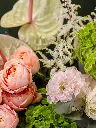 02_05.webp