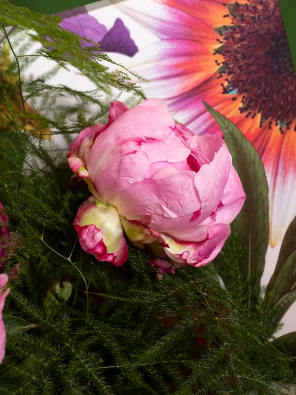 NORMANDY APPLE TART (2).webp