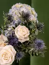 2025-05-24_MMQ-69.webp