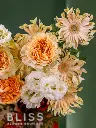 2025-05-24_MMQ-47.webp