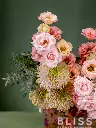 2025-05-24_MMQ-43.webp
