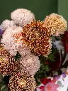 2025-05-24_MMQ-36.webp