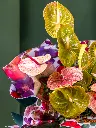 2025-05-24_MMQ-39.webp