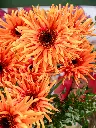 2025-05-24_MMQ-23.webp