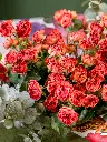 2025-05-24_MMQ-31.webp