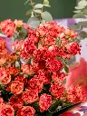 2025-05-24_MMQ-32.webp