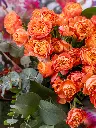 2025-05-24_MMQ-28.webp