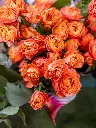 2025-05-24_MMQ-27.webp