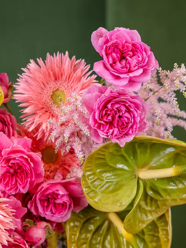 GUAVA SHERBET (2).webp