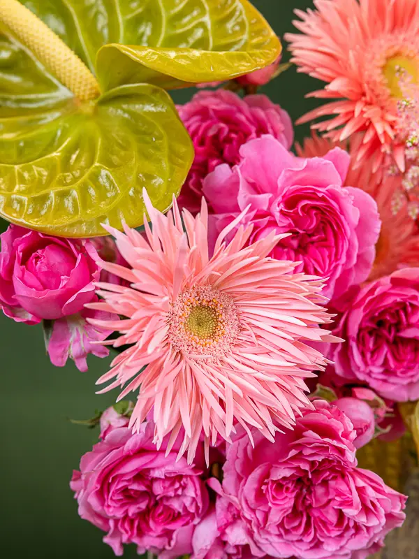 GUAVA SHERBET (4).webp