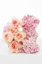 BABY PINK CANDYFLOSS - COFFEE TABLE ARRANGEMENT