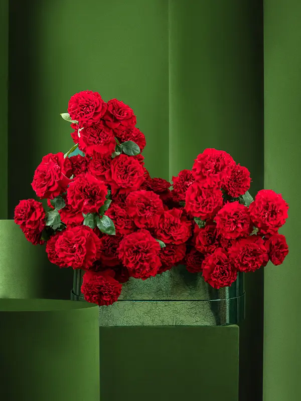 RASPBERRY PRALINE HEARTS