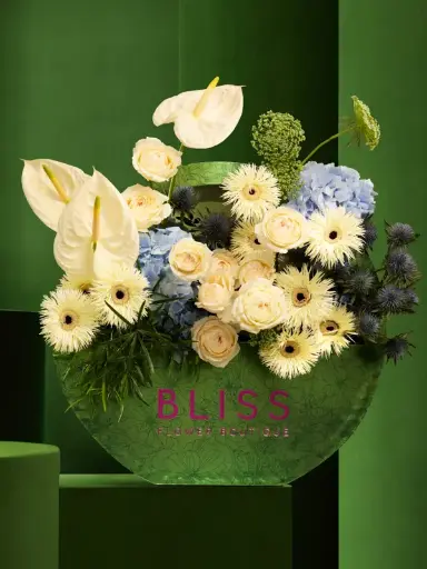 BLUEBERRY CHEESECAKE