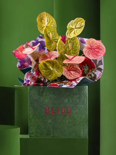 إيتاليان ليمونيد بوبسيكل