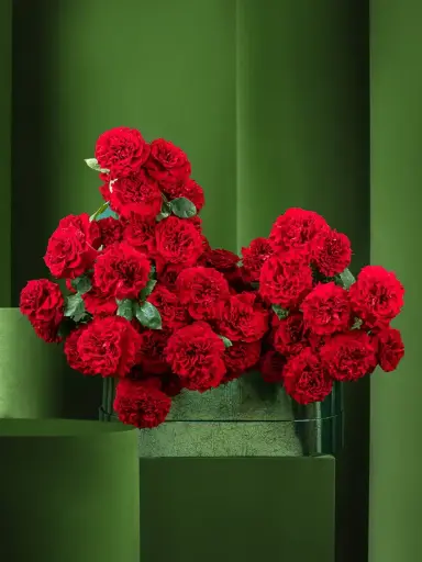 RASPBERRY PRALINE HEARTS