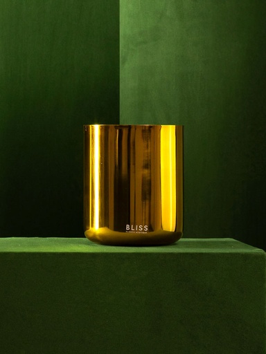 BLISS METAL VASE - GOLD